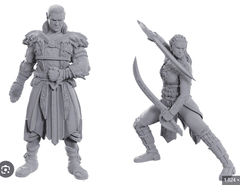 DND Unpainted Minis Special Edition Baldurs Gate 3 - Jaheira & Halsin
